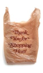 Thank You Shopping Bags (Pack Of 250 GM) - Image 2