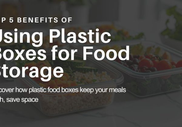 Top 5 Benefits of Using Plastic Boxes for Food Storage